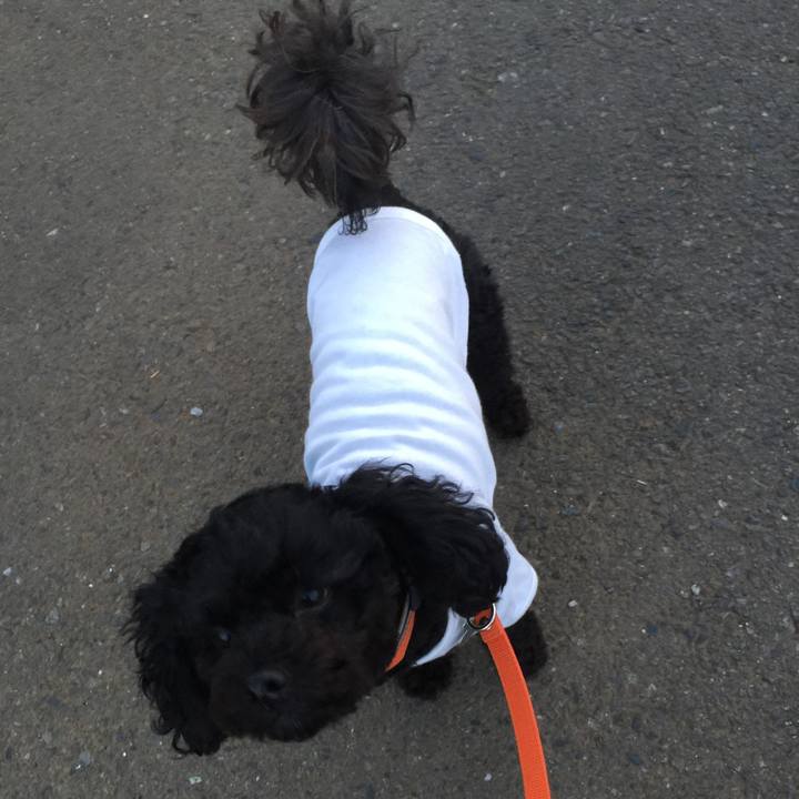 53978ec9 828c 4ee0 a530 7c44c9058d33 1527435250065