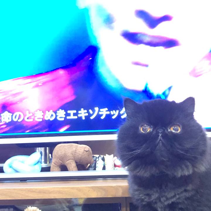 5397afd7 1868 46d3 8204 93aef88749ef 1628936630617