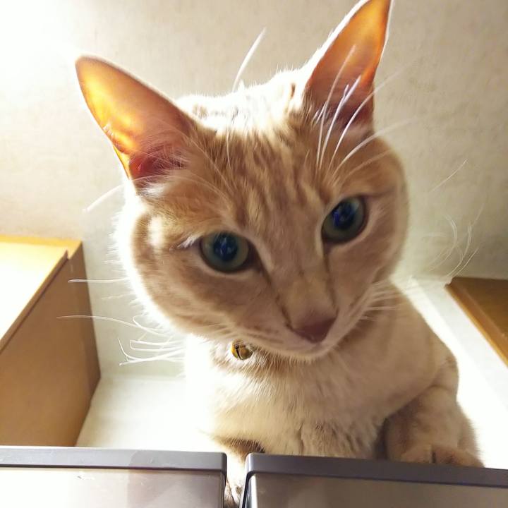 5397b13c bacd 47bd 9256 9332c6de3fa0 1585047341094