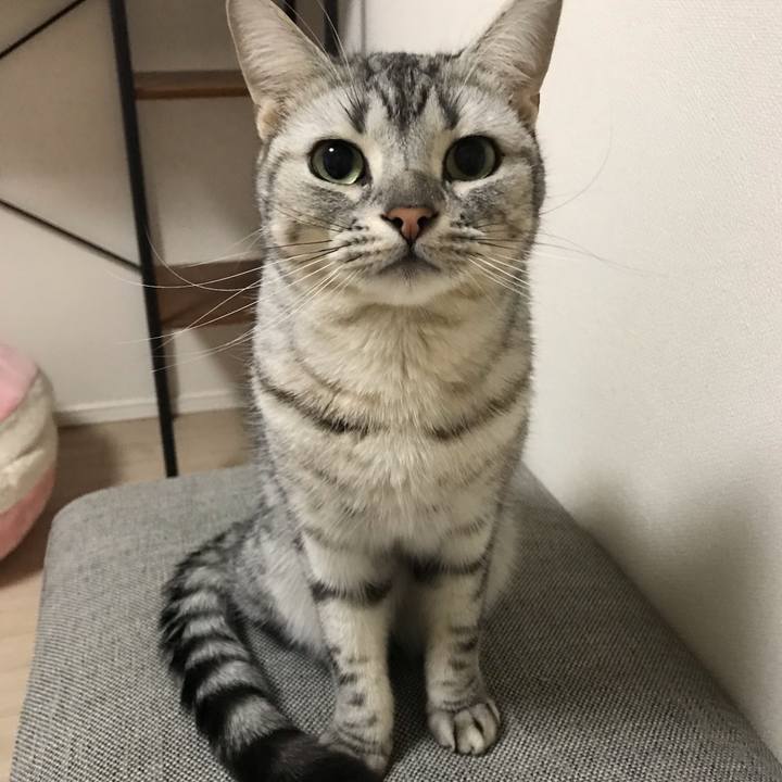 5397d731 16b8 4a9c ae5e f92f7d38924d 1548194179981