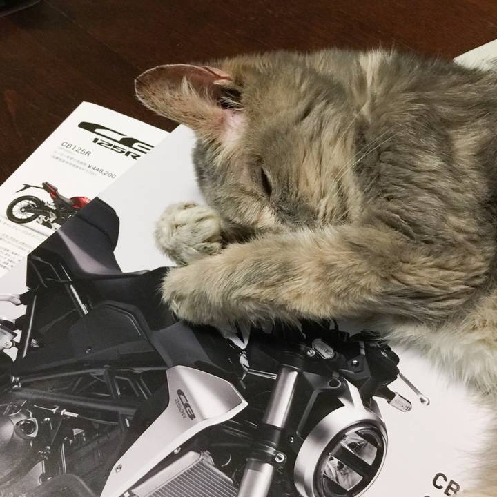 5397d7c8 dfde 4cea 8605 c3950fe1c793 1530968327006