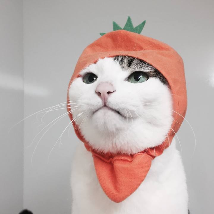 5397f91a 4a95 4db8 82bc 344b7a5d9987 1520729266073