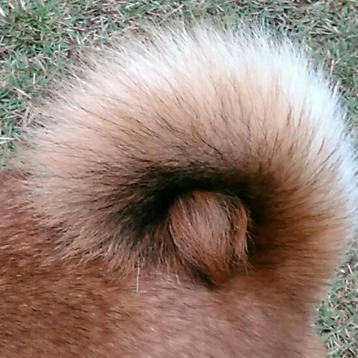 53981c50 a7d8 4ff8 be1e 611eb3c15e3d 1573462051790