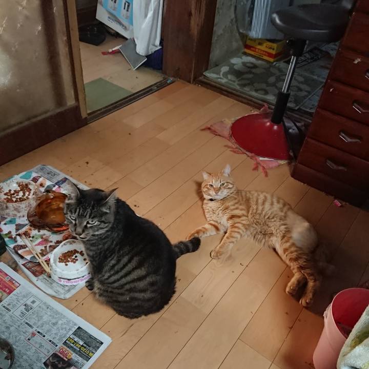 53984ad0 93a5 4727 a09e fc70baefb459 1656453133311