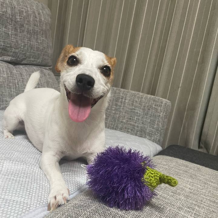 53984ce1 03ea 4ce8 be43 0101780c876a 1661605065114