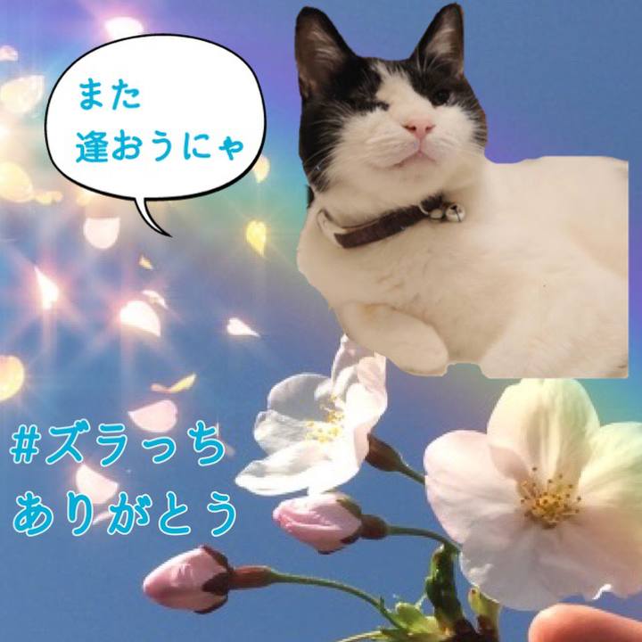 5398577c f4c3 4fac bb04 8ffbcdb22c6a 1617145637254