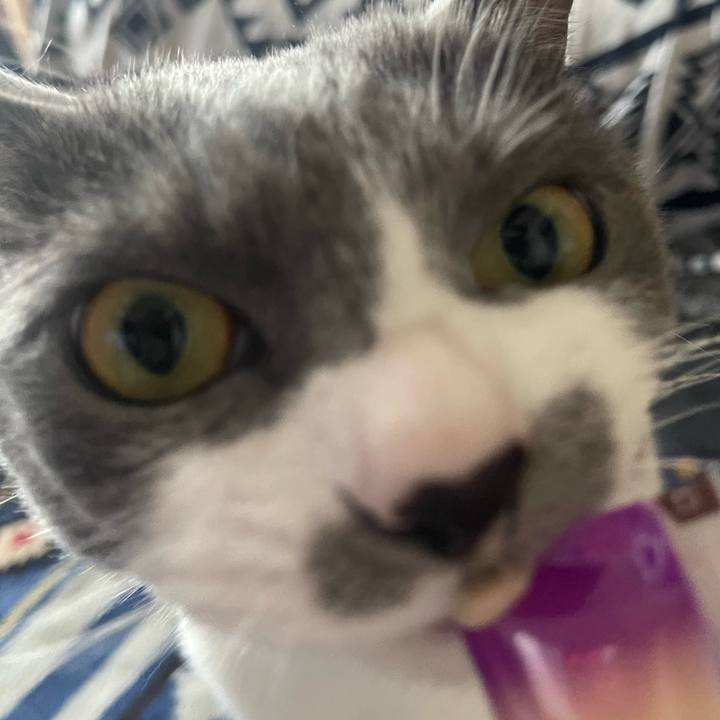 53986469 059e 4f1c be55 3c11c0916320 1680592694085