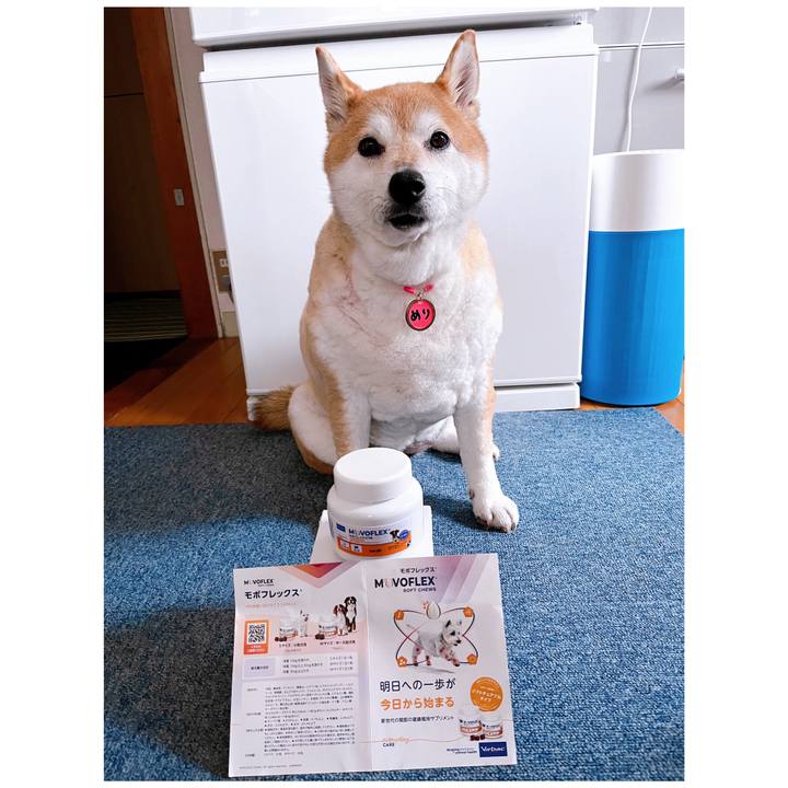 5398be08 53ec 4d36 905c de542645c169 1714450714378