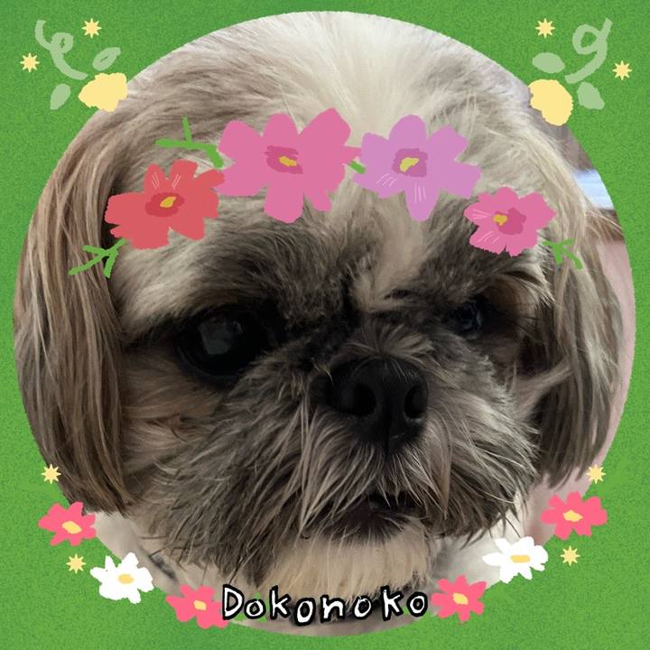 5398e578 7fe2 4eb5 957d 72123441ab97 1726846447812