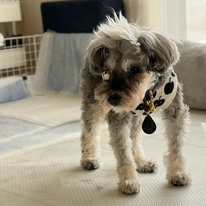 5398f03b 817d 414e 85e7 07a57408301b 1772255321518