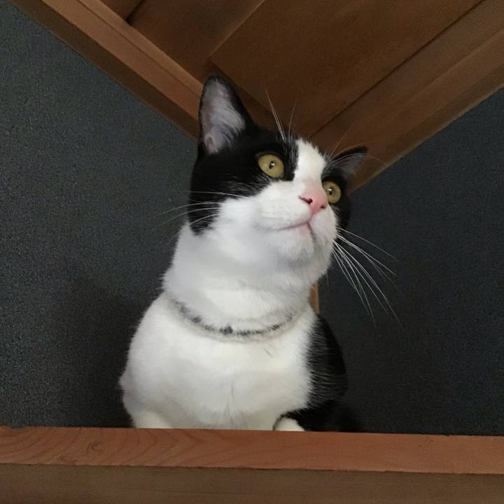 53992145 a2c5 4f62 be3f a7722cc6ae6a 1655627584719