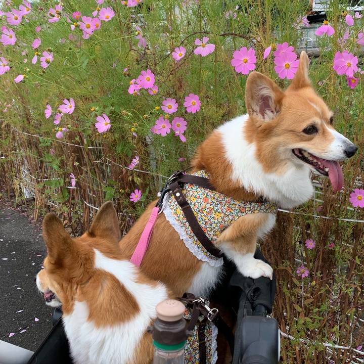 5399f2d7 8db1 43e7 b2a4 c6476371d909 1632970315292