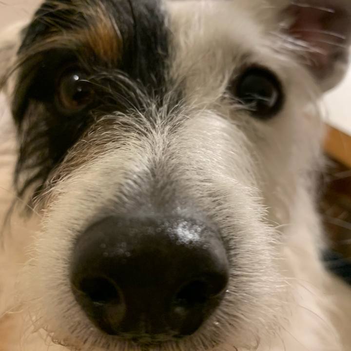 539a34cc 9257 4135 854d e284513f8a34 1585137709084