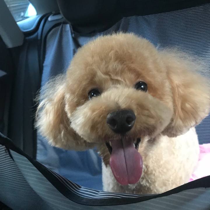 539a3f7c 2faf 4145 8381 16e7f1b16d8b 1530435171771