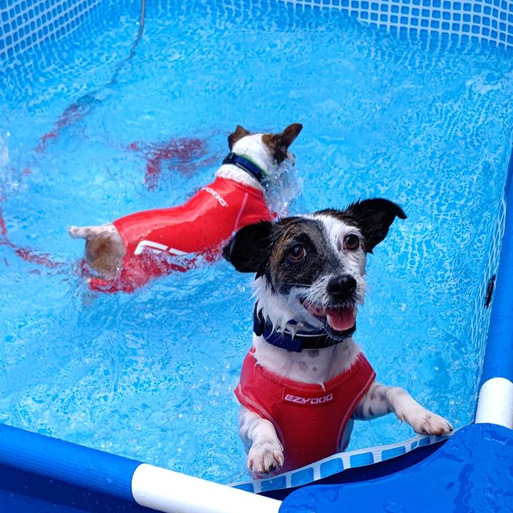 539a42d2 fdb6 4f08 8a36 c1917dbc4a32 1628671679736