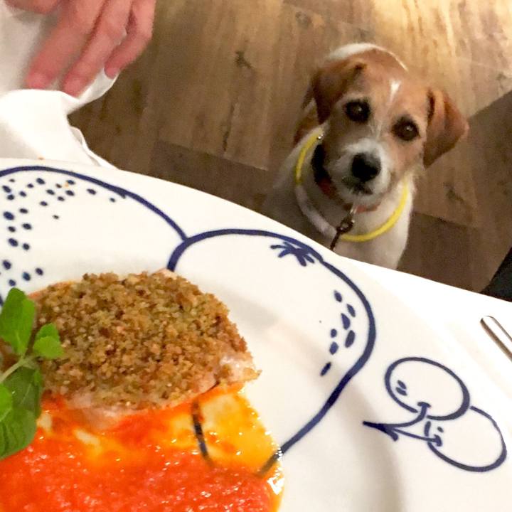 539a4e2d 563d 4878 ac38 0bde34f7d9ea 1541245918920