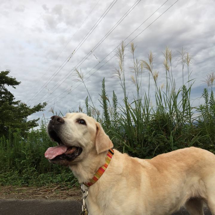 539a7b11 77a1 4763 b1d4 11ea15136461 1617801180082