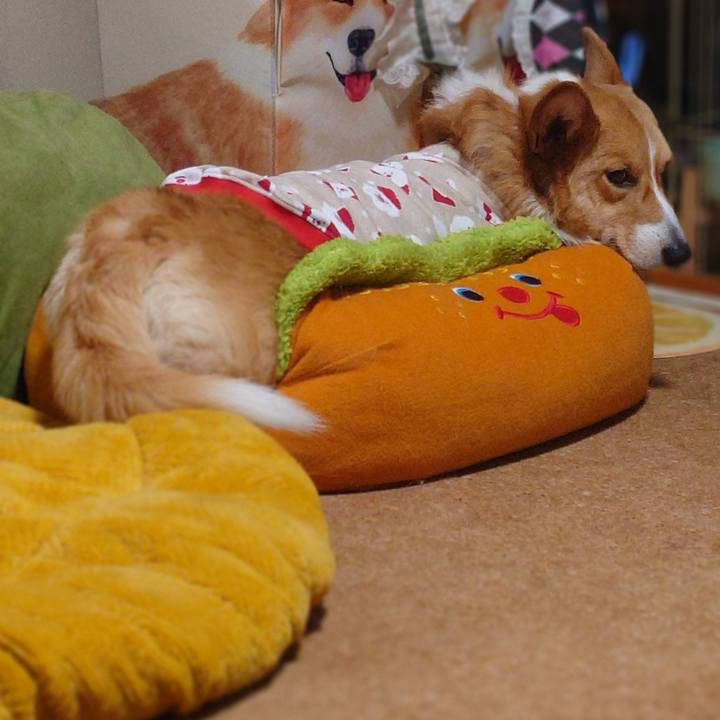 539a978a 1c54 48a6 8cc6 c6e51a170fe8 1766496886276