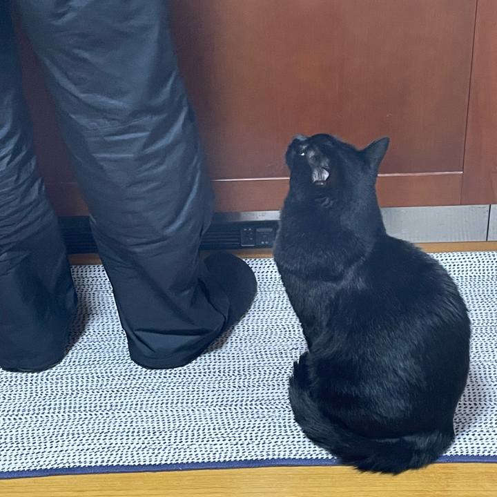 539aa73a 2592 4eb6 9dbc 5aaafbbf3fe2 1761001099173