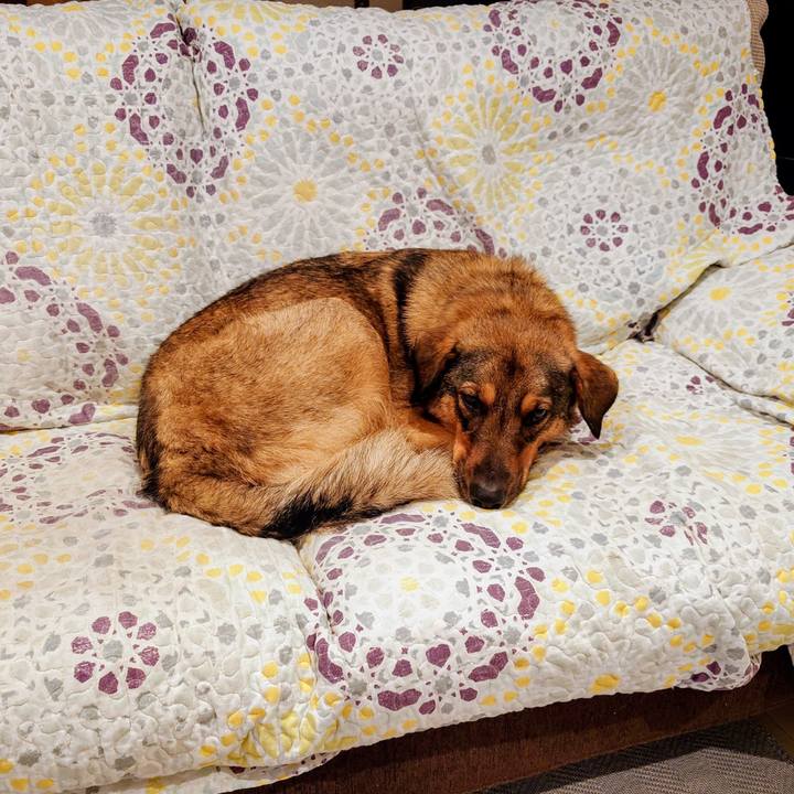 539aaa79 376d 4f16 88b8 f477676cc77a 1757236215600