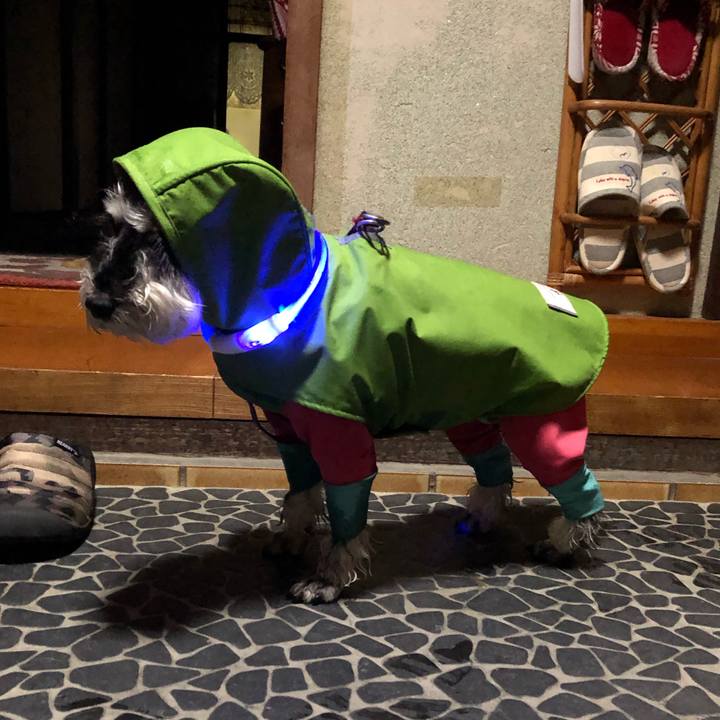 539ac399 332e 4caa a08a 5a9943fdc2dc 1672831299982