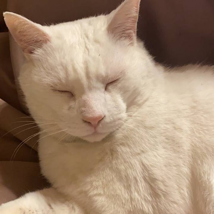 539b1c17 e595 4b44 92d1 69f43880e78e 1613686187793