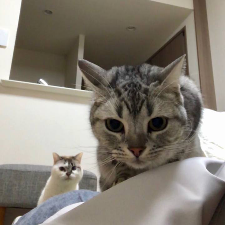 539b3058 8b22 4a28 8dbc 6237e0bd2dd2 1548245991012