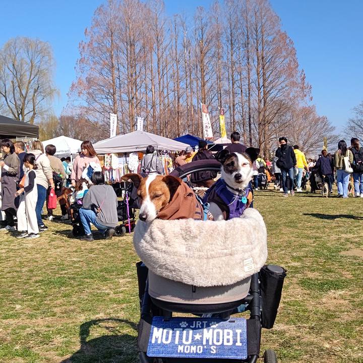 539b4e2a 693f 4be0 9ecb dae7015c6169 1708261290881