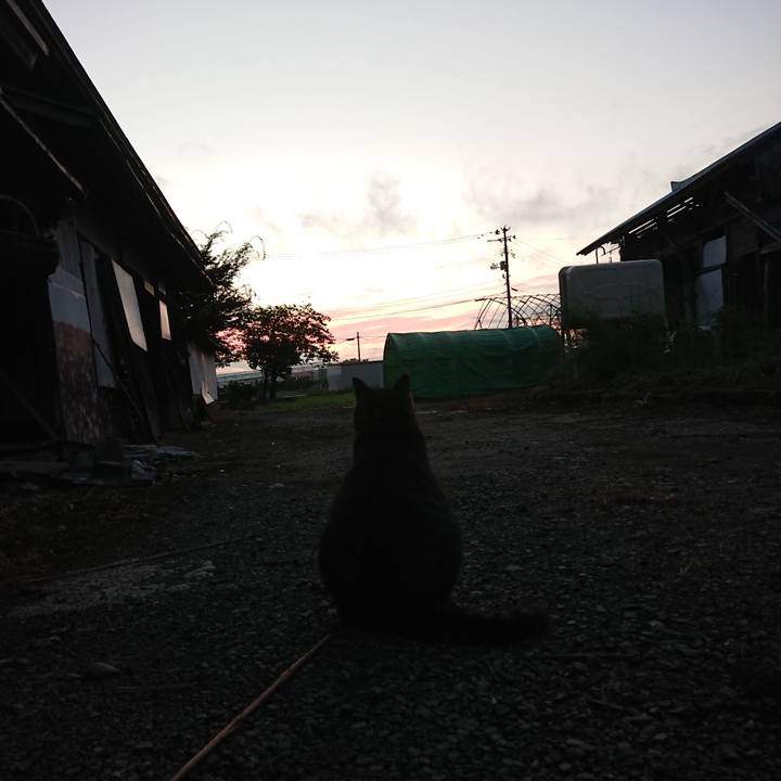 539b54f5 1ac4 4d1f ba2c 194712abc380 1662758138610