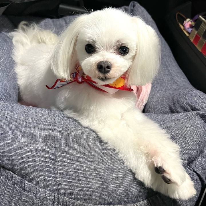 539b5721 fd97 4ca5 93cc 05c99bee4554 1664152969108