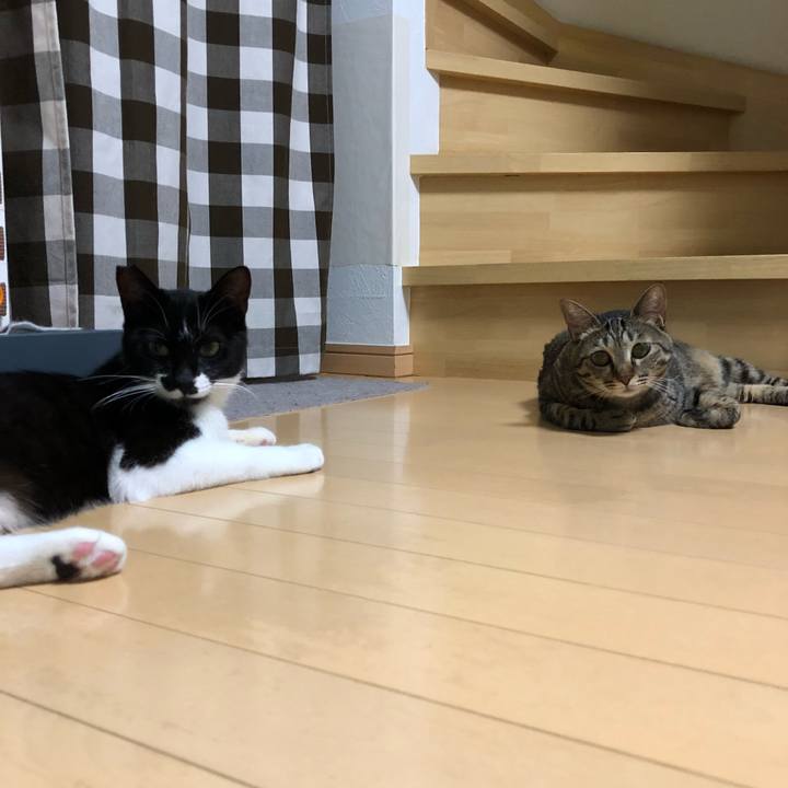 539b94f0 020c 45fe a609 ee5e6e3e2166 1531855586880