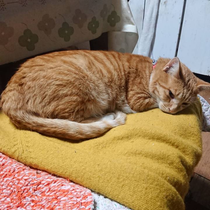 539b9ba7 92df 4d57 bdfa a926dab8c854 1570482518856