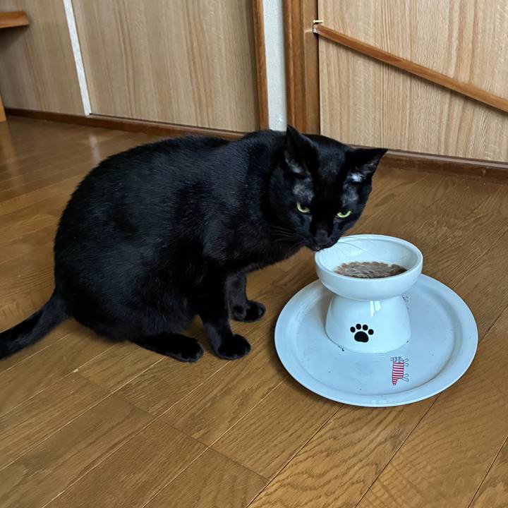 539c2c82 1d51 4d9b 9e51 e8f18d582158 1754947630972