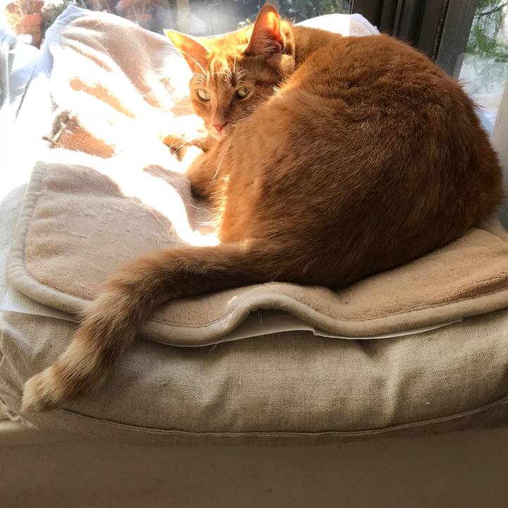 539c6dac 1939 4064 a4fe a1f091b86b5b 1516860437561