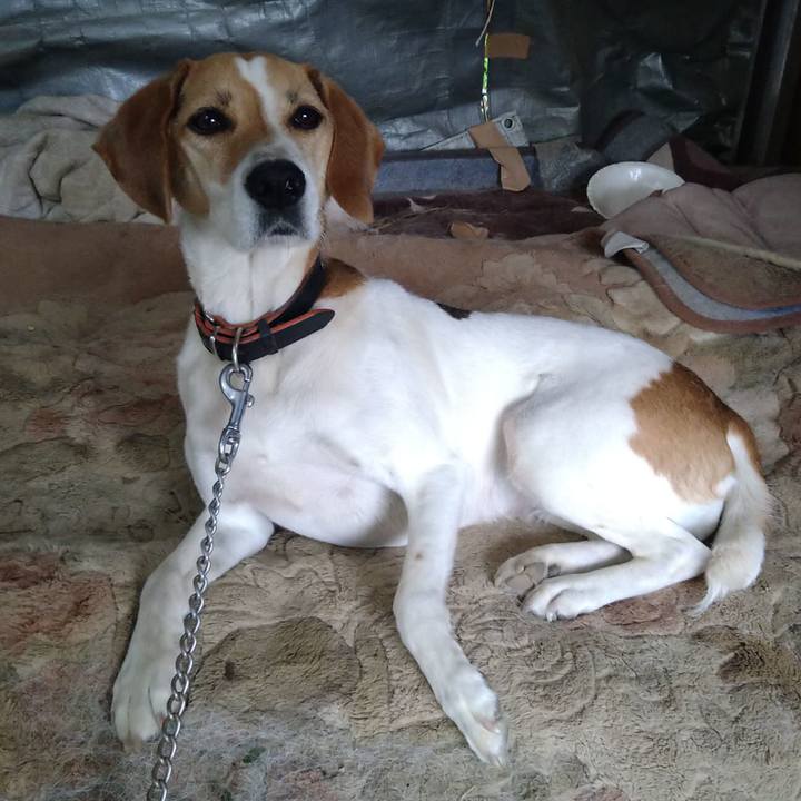 539c9b7a 9d67 4930 87b6 29ff4a46acf1 1654519974969