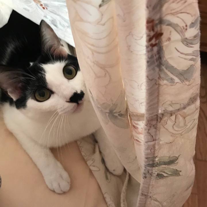 539ca0a2 e6f0 4091 90bd fcad71c3e329 1509080704539