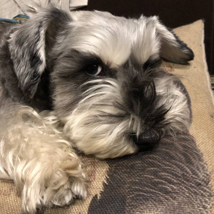 539d0dad ee74 485d 95f3 93dec01a2706 1583059565282