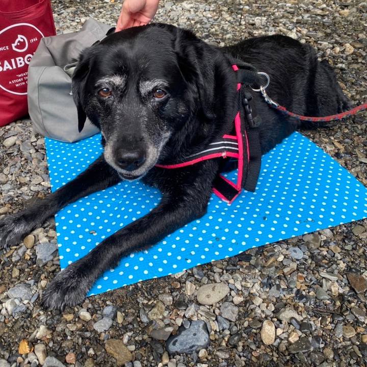 539d2274 6896 4388 95f1 c4c4c0ab4194 1660698049516