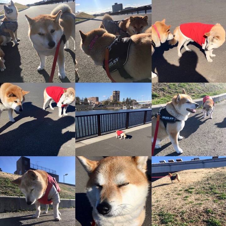 539d287a 9133 48dd 8783 a0cae2580a6d 1588164544255