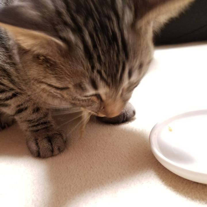 539d8a6d d6f9 445a b4e3 336c1a333752 1673654040366