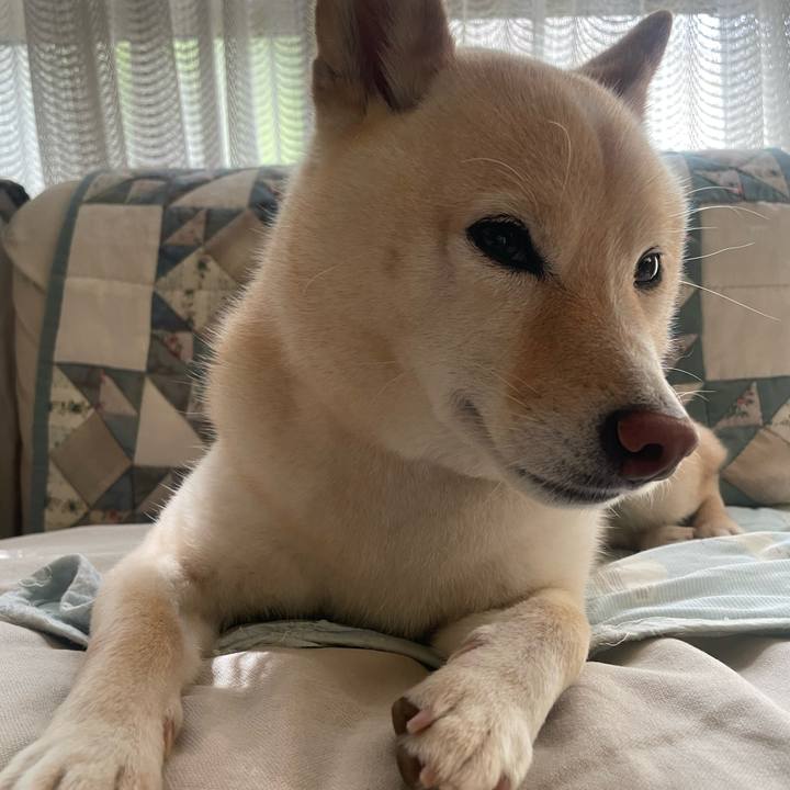 539da86b b4ef 49d4 a681 50c2607995d1 1660521232508