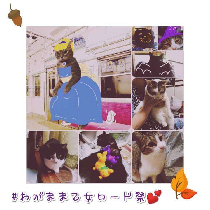 539dbfdd a301 458b 9769 d04a4d7350af 1569142723397