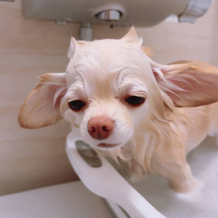 539dcce8 6c81 4d8b a961 1c792dd1d83f 1703574837254