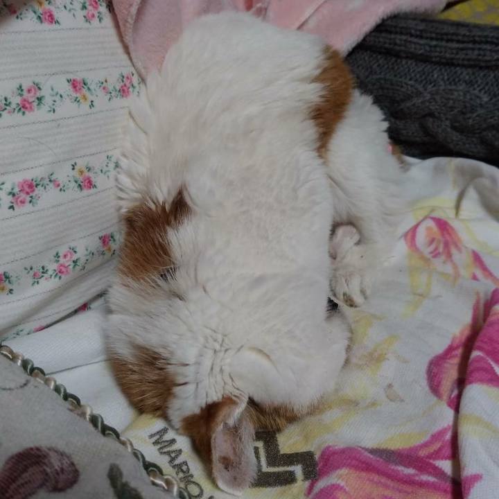 539e1a3f 97e9 4139 b2f4 5e8549b0d03f 1613656480632