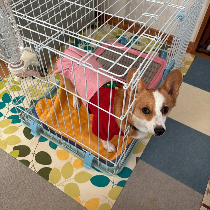 539e1fc1 463f 482f 9c16 3b0e566b6ee2 1765868361646