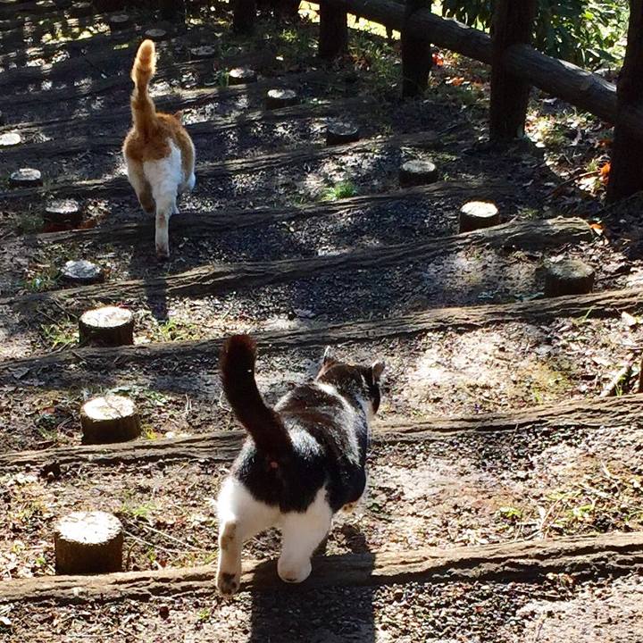 539e20d6 f380 44ea 8daa c358d40c661d 1579414977866