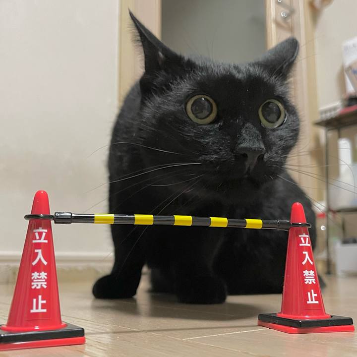 539e3007 9cd3 449a 93d8 1e5d349a587f 1770462531736