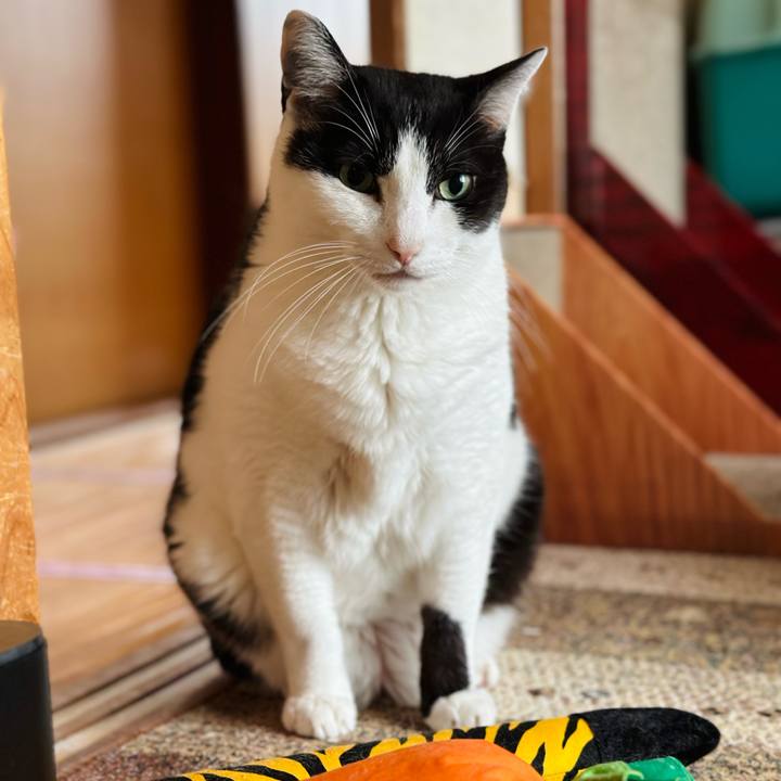 539e53f4 2954 4393 aecf f736840fd490 1716514336586