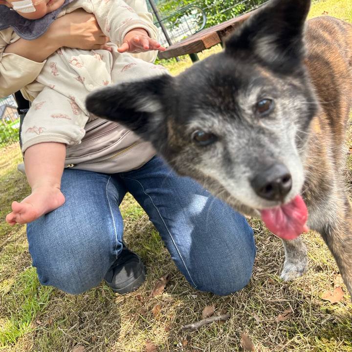 539e8902 5e2f 4060 93ef 60ffb2f6fe06 1717337166894