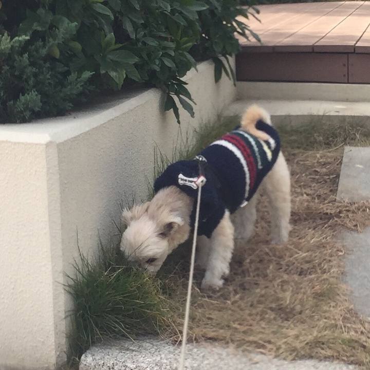 539ea340 cb74 4b36 a095 fb8ef4828aa0 1543042967451